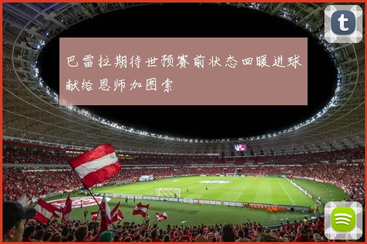 巴雷拉期待世预赛前状态回暖进球献给恩师加图索
