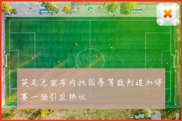 英足总宣布内托因辱骂裁判追加停赛一场引发热议
